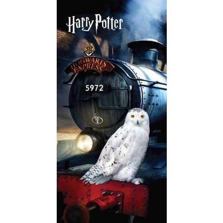 Harry Potter Hedwig  strandtörölköző