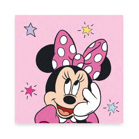 Disney Minnie arctörölköző